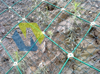 �������Է��o�W(w��ng)