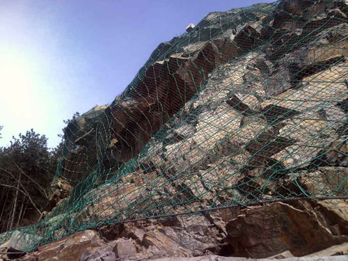 RXI-100�ͱ��ӷ��o�W(w��ng)